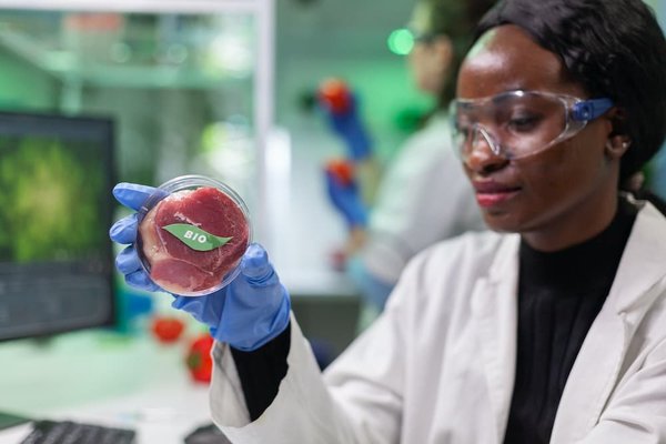 Comment préparer des repas végétariens qui satisfont les amateurs de viande ?